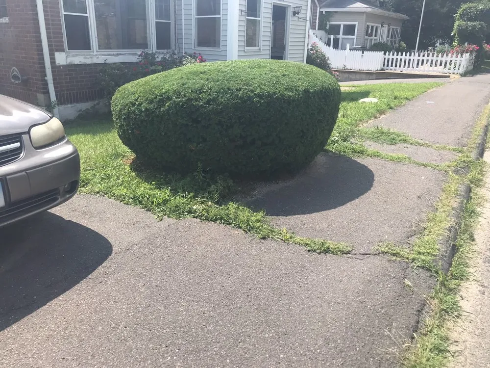 Local landscaping services experts serving Wolcott, CT - Cesar's Lawn Maintenance