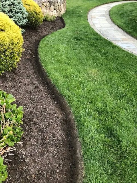 Top-rated yard cleanup service in Wolcott, CT by Cesar's Lawn Maintenance