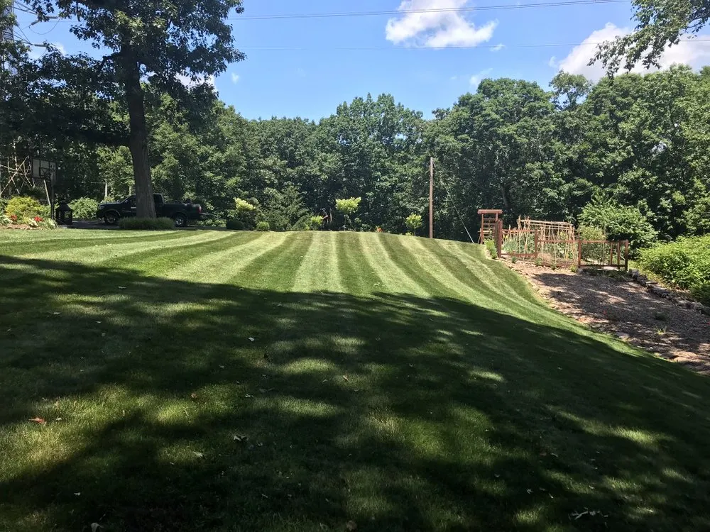 Reliable yard cleanup service with custom design in Wolcott, CT by Cesar's Lawn Maintenance