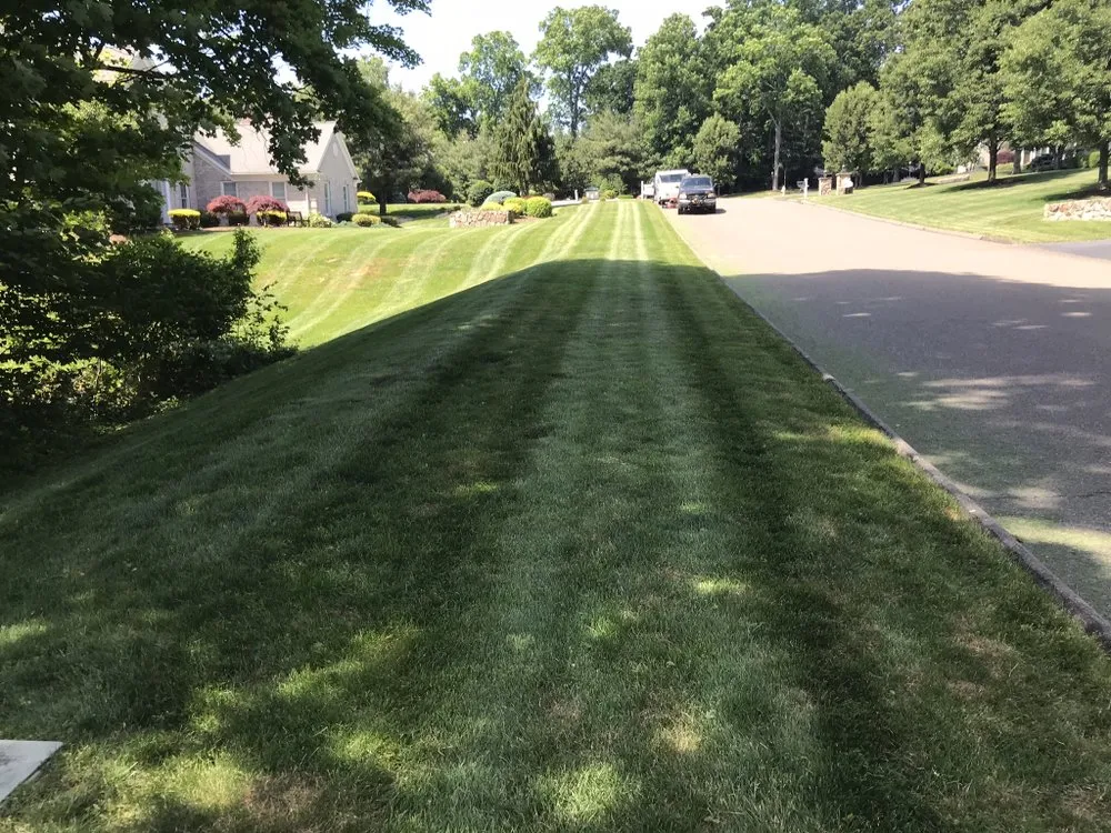Custom yard maintenance for outdoor upgrades in Wolcott, CT by Cesar's Lawn Maintenance