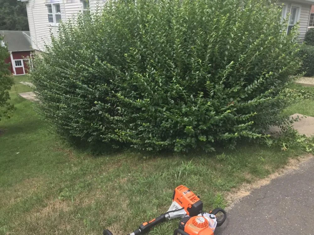 Top-rated lawn care service for residential properties across Wolcott, CT - Cesar's Lawn Maintenance