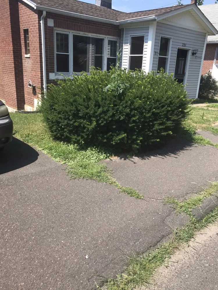 Custom yard cleanup service for homes across Wolcott, CT - Cesar's Lawn Maintenance
