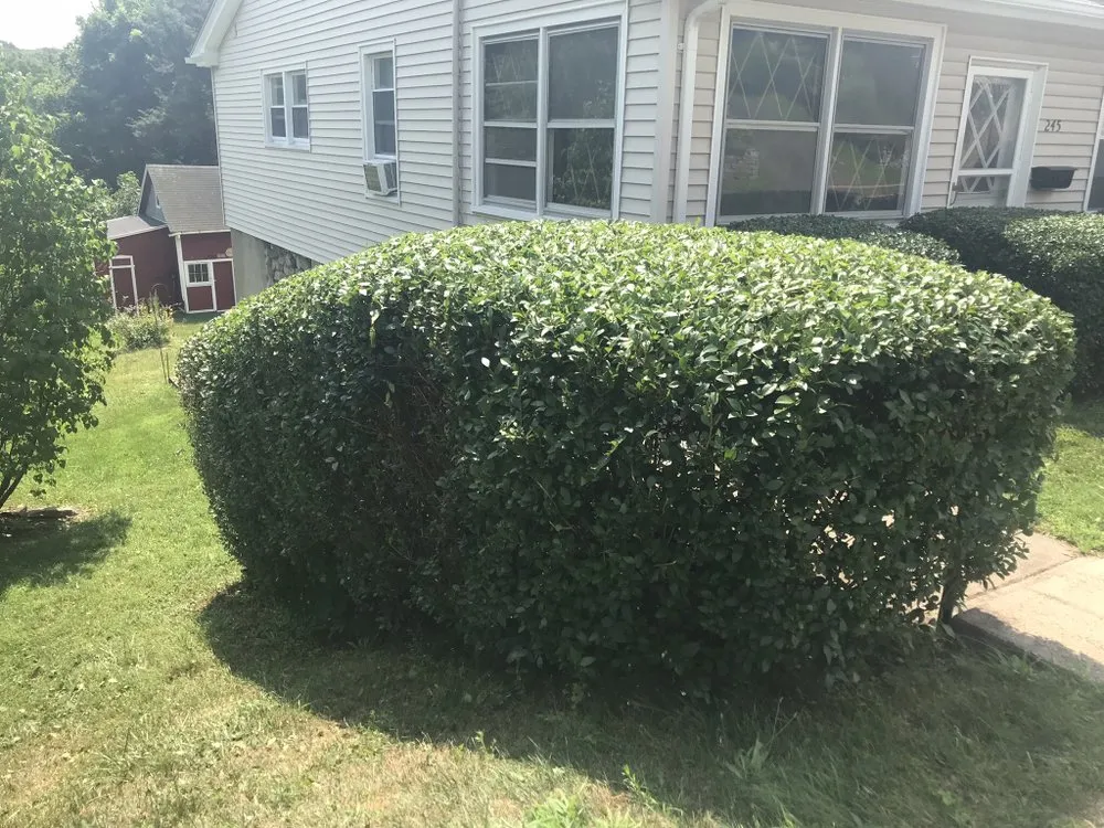 Top-rated landscape design in Wolcott, CT - Cesar's Lawn Maintenance