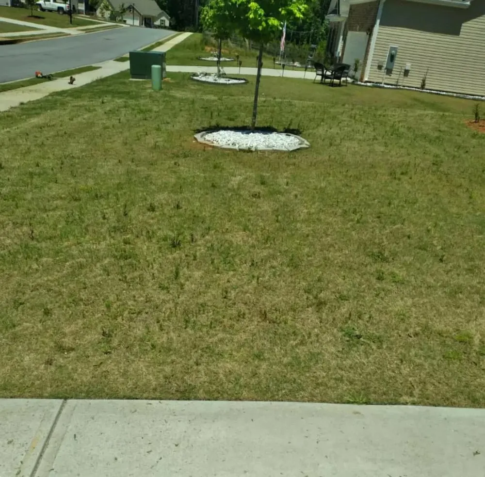 Reliable outdoor landscaping for year-round maintenance in Griffin, GA by Cesar's Property Management