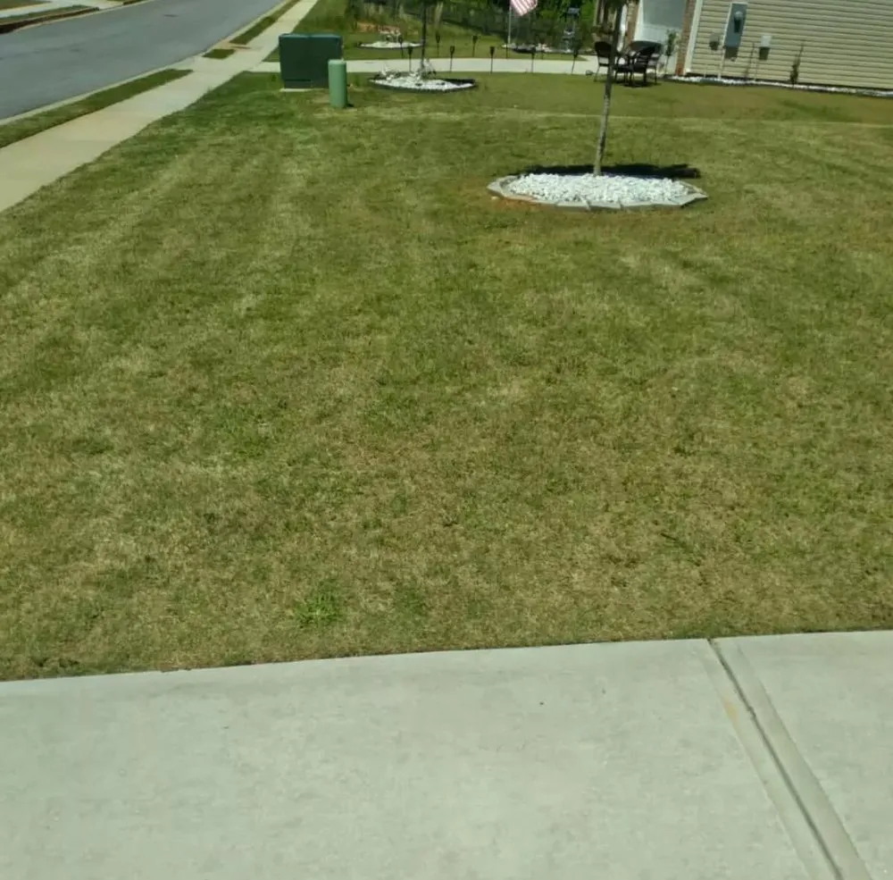 Affordable residential landscaping in Griffin, GA - Cesar's Property Management