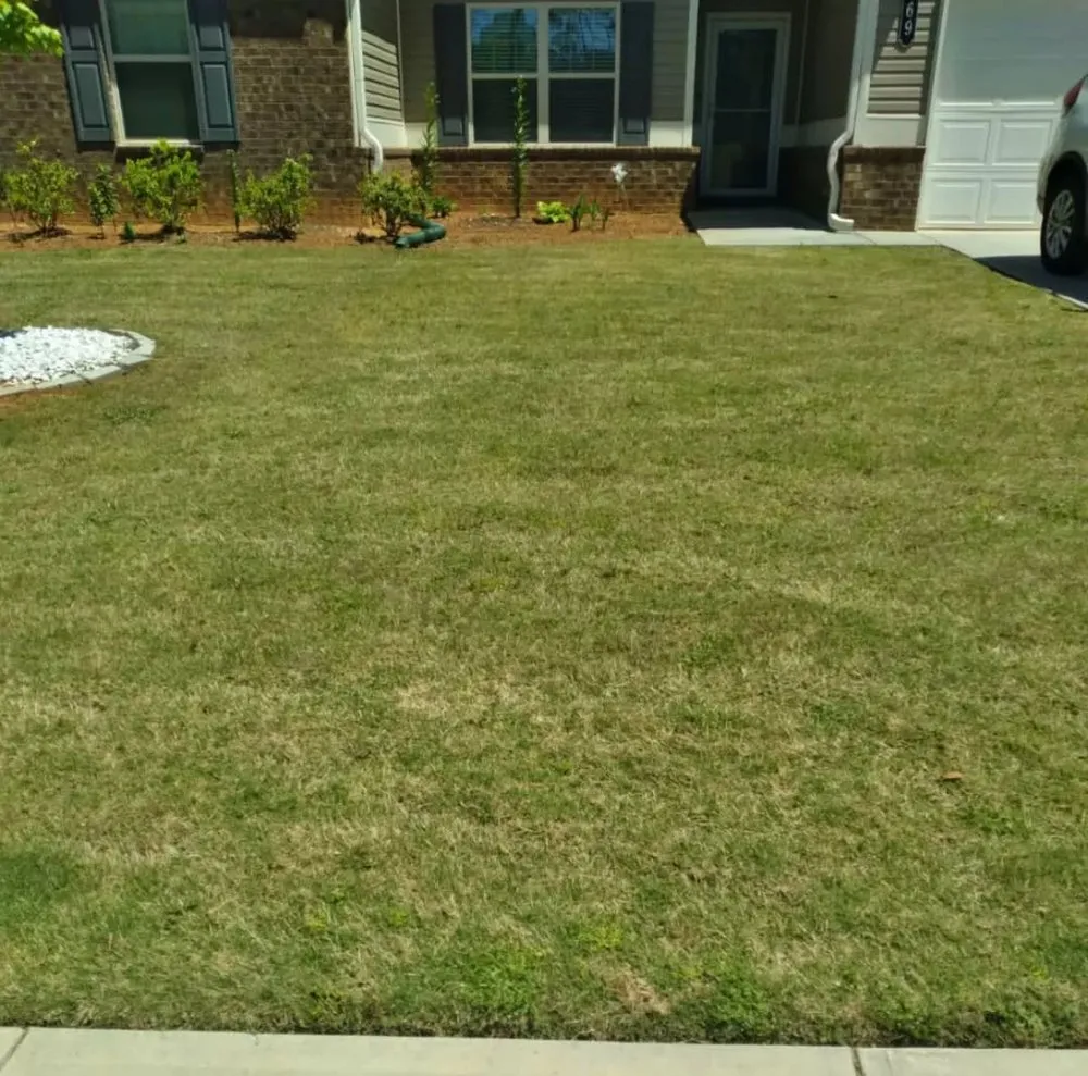 Custom outdoor landscaping experts serving Griffin, GA - Cesar's Property Management