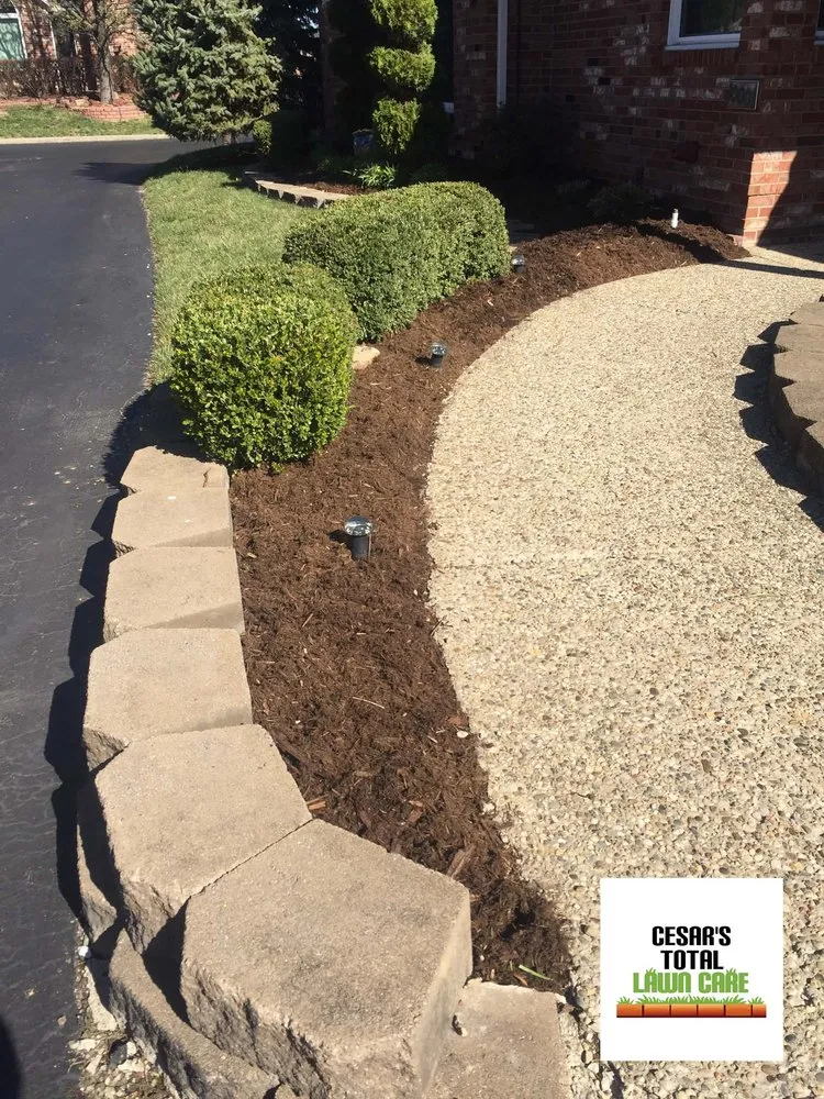 Expert yard maintenance for outdoor upgrades across Jeffersonville, IN - Cesar's Total Lawn Care