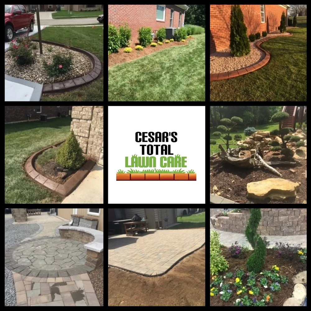 Affordable lawn mowing service in Jeffersonville, IN by Cesar's Total Lawn Care