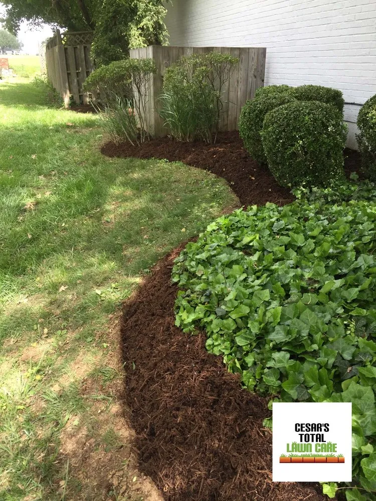Custom yard maintenance experts serving Jeffersonville, IN - Cesar's Total Lawn Care