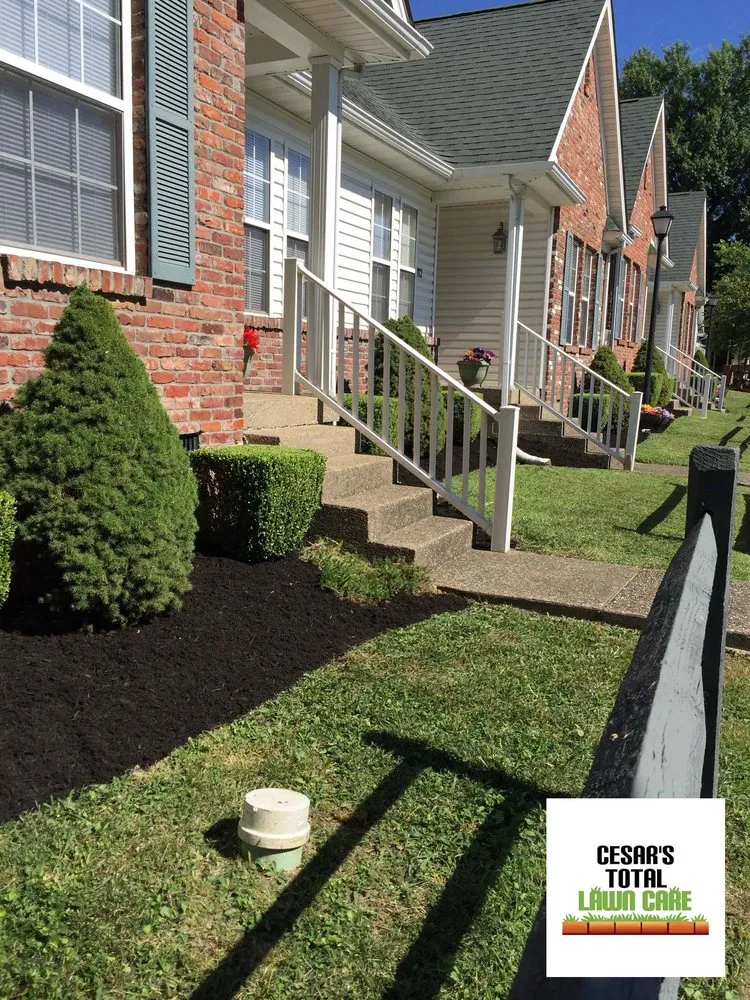 Top-rated landscaping services experts serving Jeffersonville, IN - Cesar's Total Lawn Care
