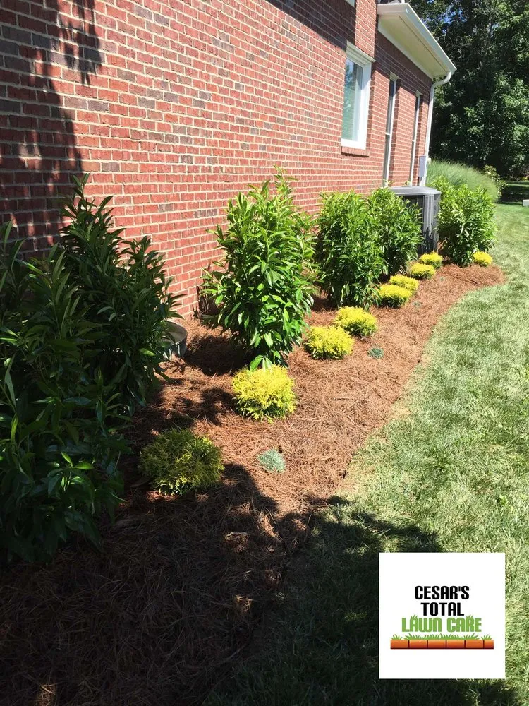 Trusted residential landscaping for homes in Jeffersonville, IN by Cesar's Total Lawn Care