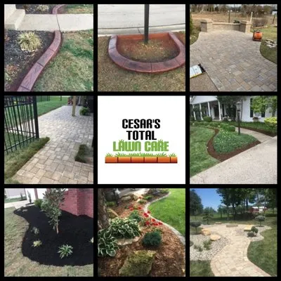 Cesar's Total Lawn Care