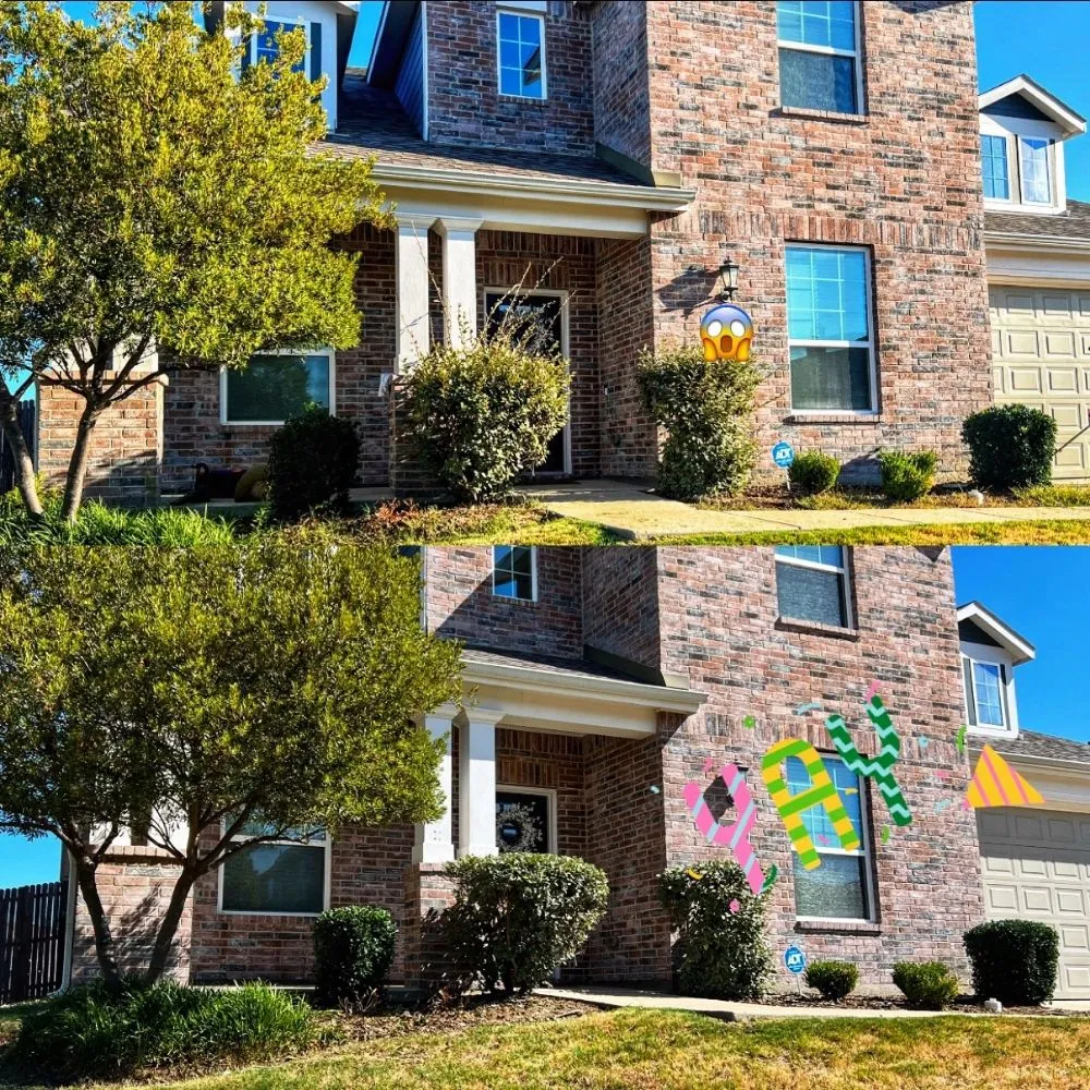 Expert landscape design experts serving Lavon, TX - Cesar's Tree and Lawn service