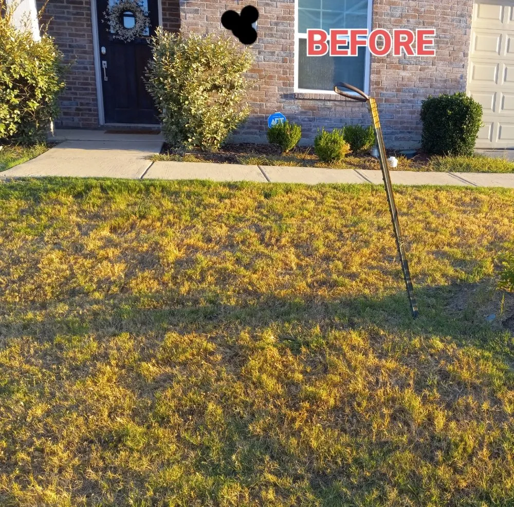 Top-rated yard cleanup service in Lavon, TX by Cesar's Tree and Lawn service