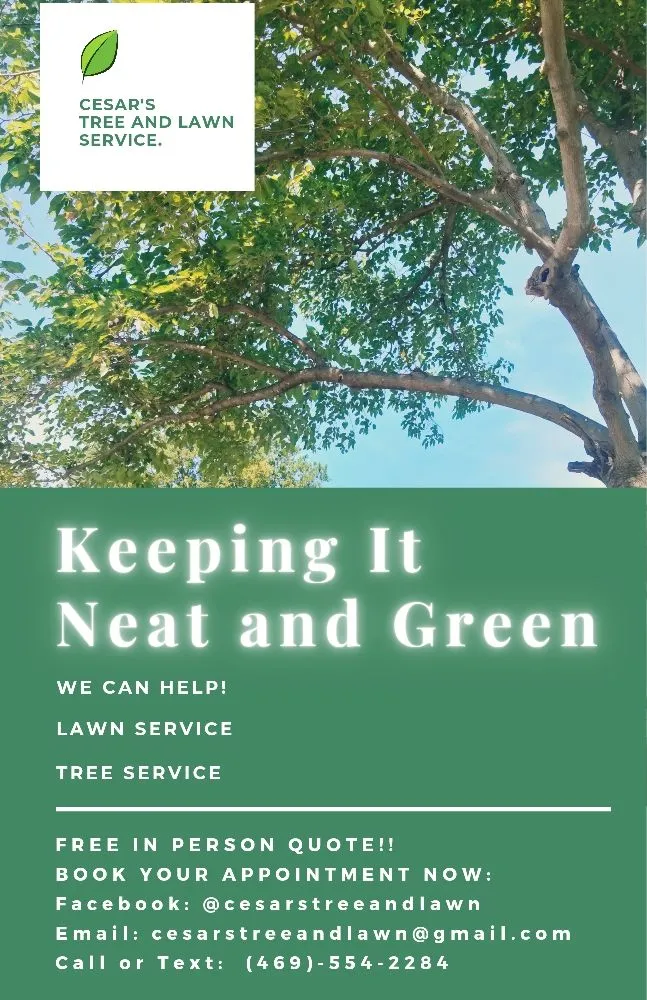 Professional lawn care service experts serving Lavon, TX - Cesar's Tree and Lawn service