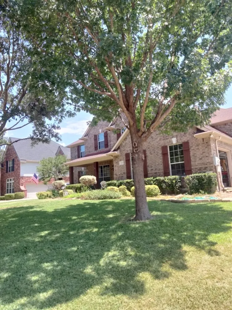 Expert residential landscaping in Lavon, TX - Cesar's Tree and Lawn service