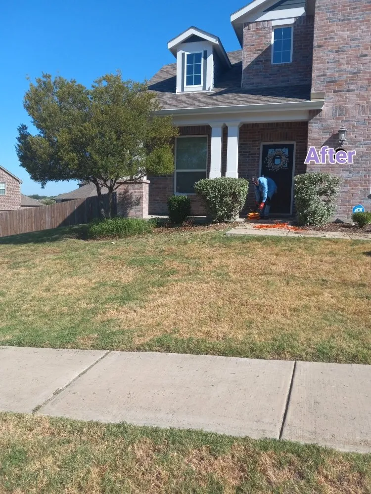 Expert landscaping services experts serving Lavon, TX - Cesar's Tree and Lawn service