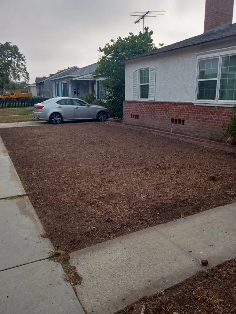 Custom landscape design in Palos Verdes Estates, CA by Cesar's Trees Service and Landscaping