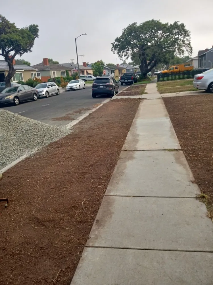 Expert landscape installation near you across Palos Verdes Estates, CA - Cesar's Trees Service and Landscaping