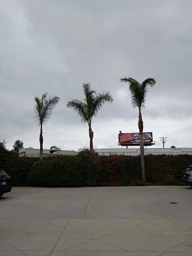 Top-rated outdoor landscaping in Palos Verdes Estates, CA by Cesar's Trees Service and Landscaping