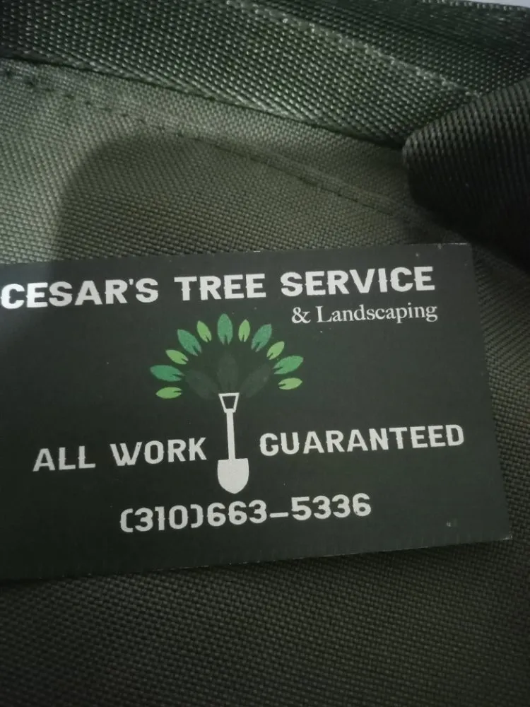 Reliable lawn care service in Palos Verdes Estates, CA by Cesar's Trees Service and Landscaping
