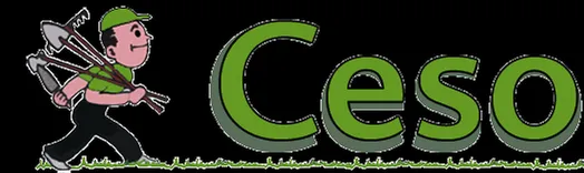 Trusted lawn care service in Danvers, MA by Ceso Landscaping & Construction