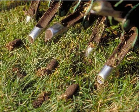 Top-rated outdoor landscaping experts serving Danvers, MA - Ceso Landscaping & Construction