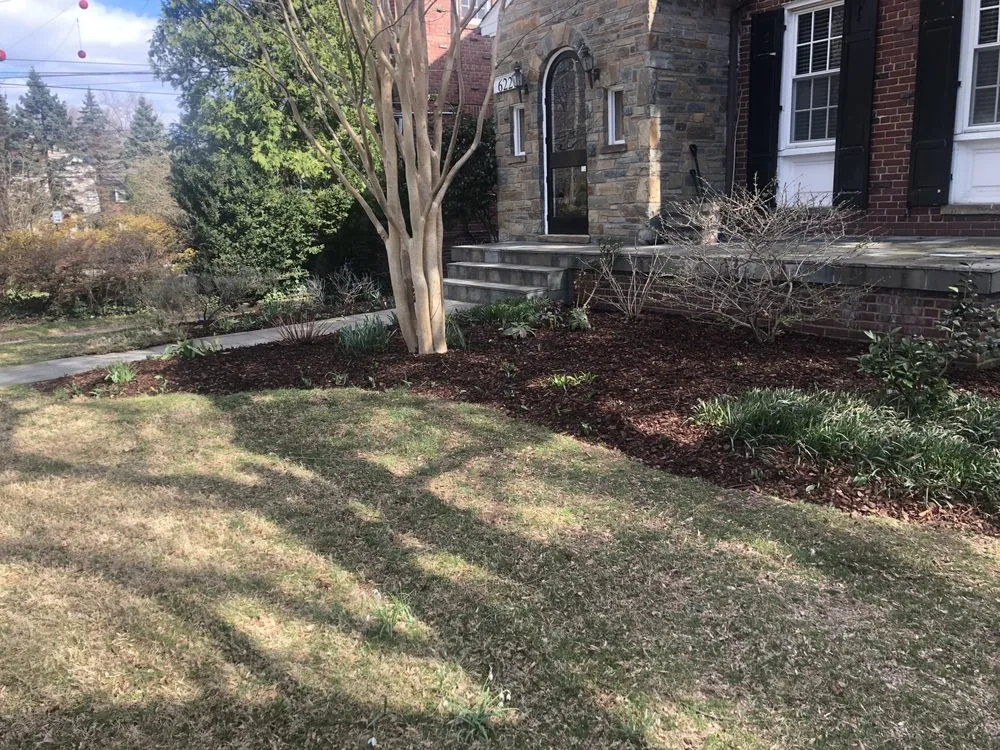 Professional residential landscaping for year-round maintenance across Adelphi, MD - CESPED Landscapes