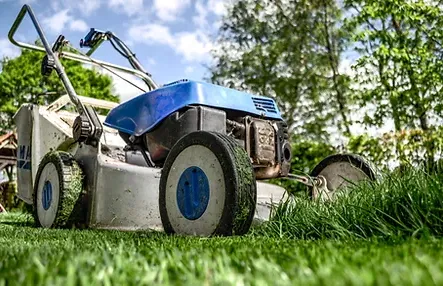 Cespedes Lawn Maintenance