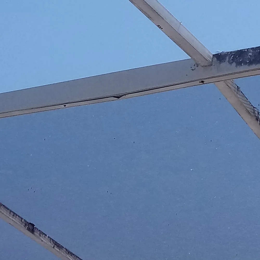 Local landscape installation in Tampa, FL - C&F Land Maintenance