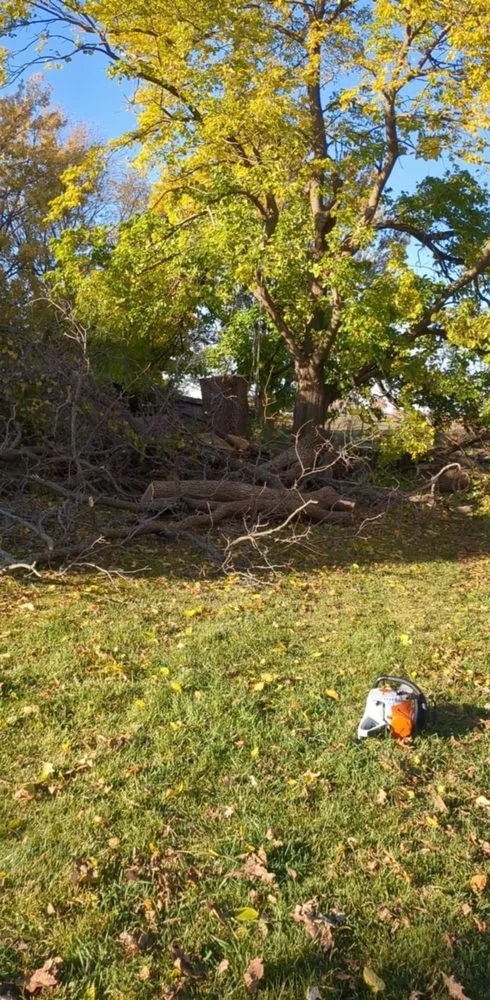 Reliable yard cleanup service in DeKalb, IL by C&F Landscaping & Tree Trimming