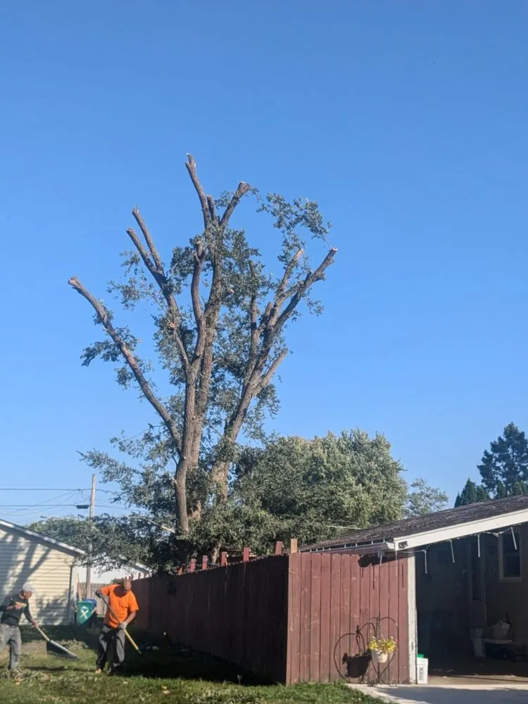 Expert landscape installation in DeKalb, IL by C&F Landscaping & Tree Trimming