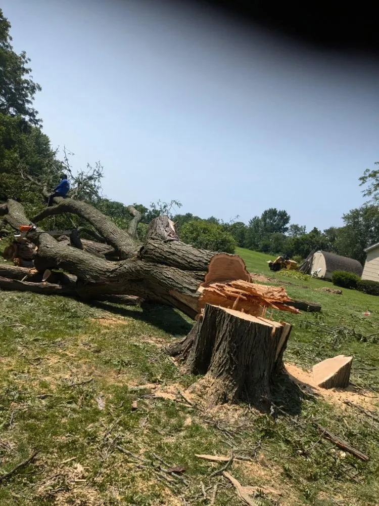 Trusted lawn care service in DeKalb, IL by C&F Landscaping & Tree Trimming