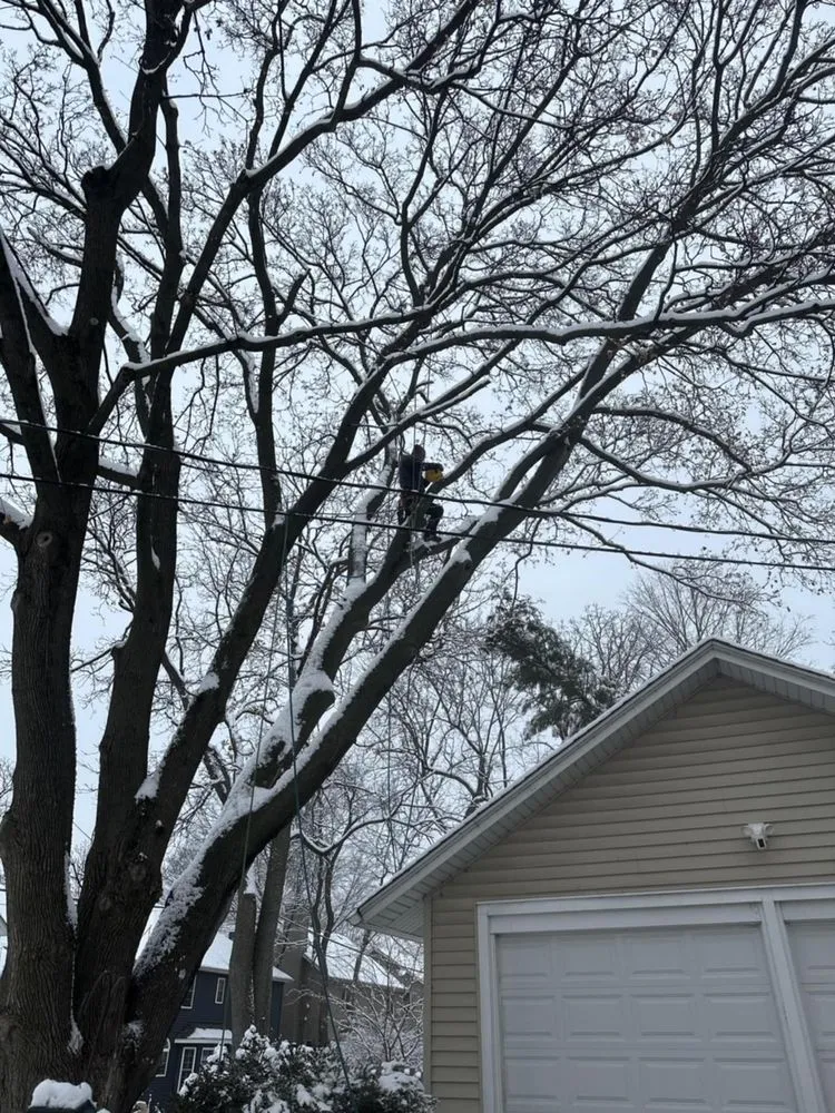 Affordable yard cleanup service for residential properties in DeKalb, IL by C&F Landscaping & Tree Trimming