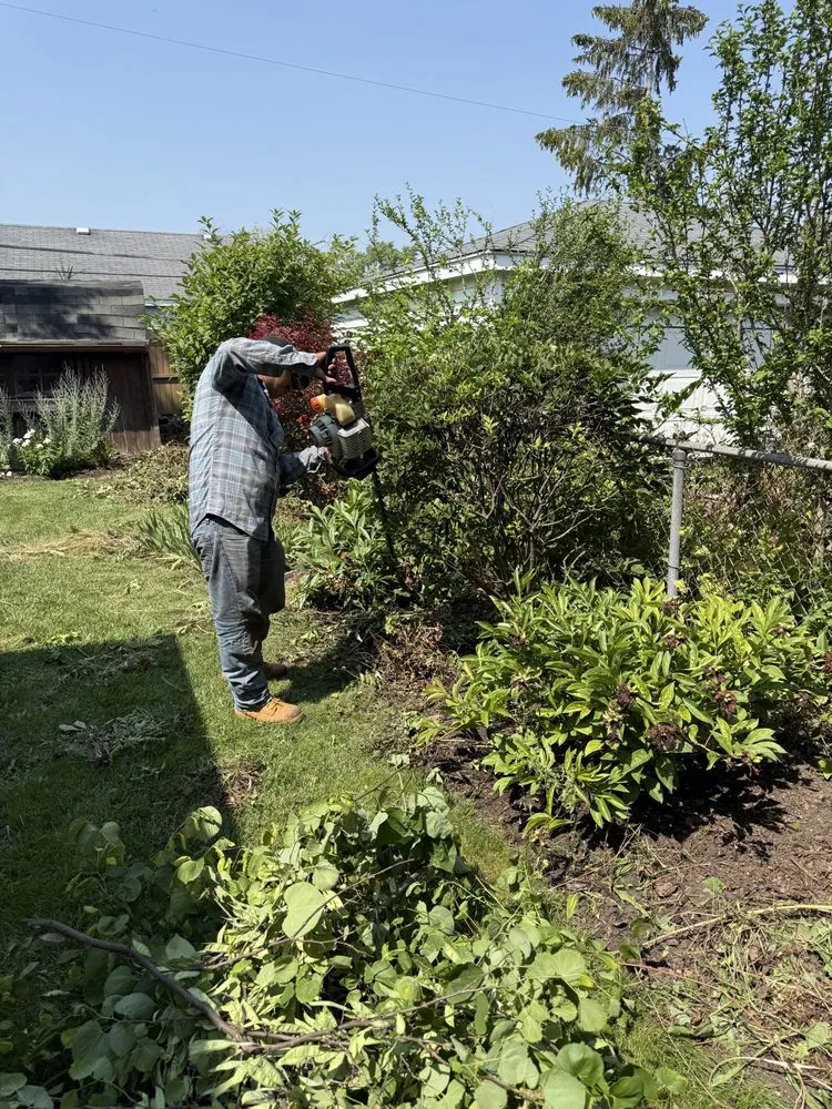 Expert landscape design for beautiful yards across DeKalb, IL - C&F Landscaping & Tree Trimming
