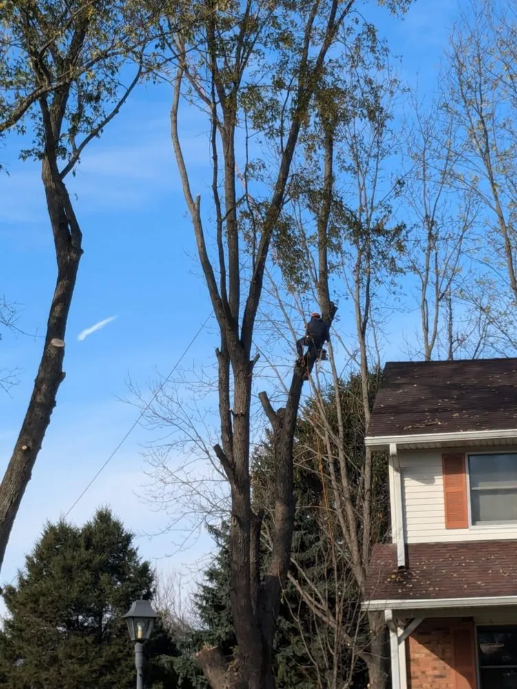 Professional lawn mowing service for homes in DeKalb, IL by C&F Landscaping & Tree Trimming