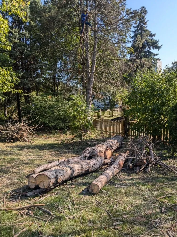 Professional garden landscaping for residential properties in DeKalb, IL by C&F Landscaping & Tree Trimming