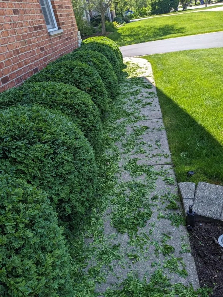 Trusted landscape installation in DeKalb, IL - C&F Landscaping & Tree Trimming