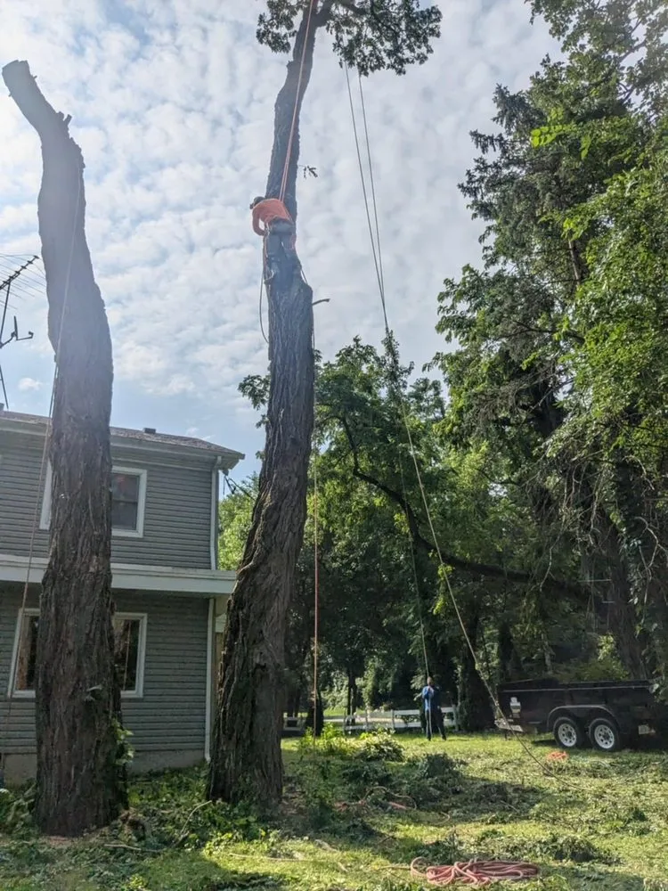 Expert landscaping services for outdoor upgrades in DeKalb, IL by C&F Landscaping & Tree Trimming