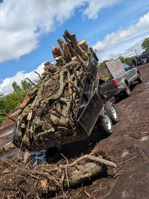 C&F Landscaping & Tree Trimming