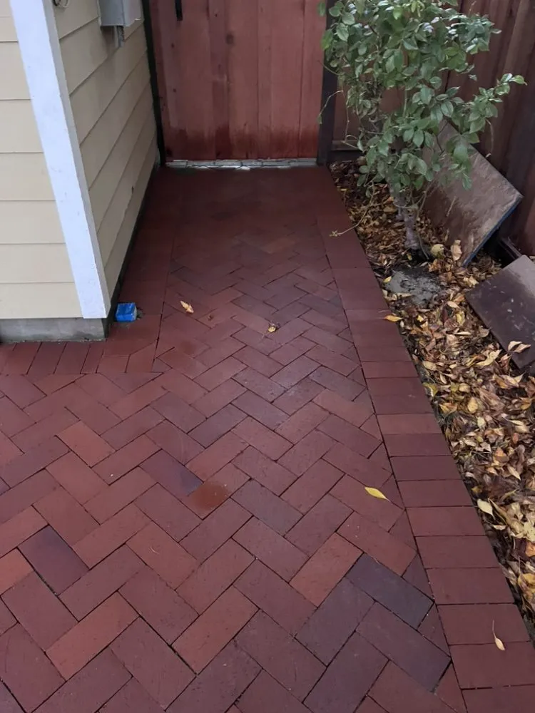 Trusted landscape design experts serving Menlo Park, CA - CF Landscaping