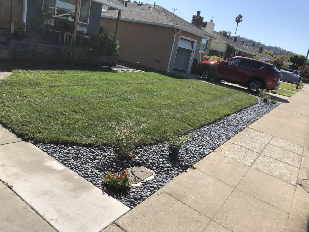 Top-rated landscaping services experts serving Menlo Park, CA - CF Landscaping
