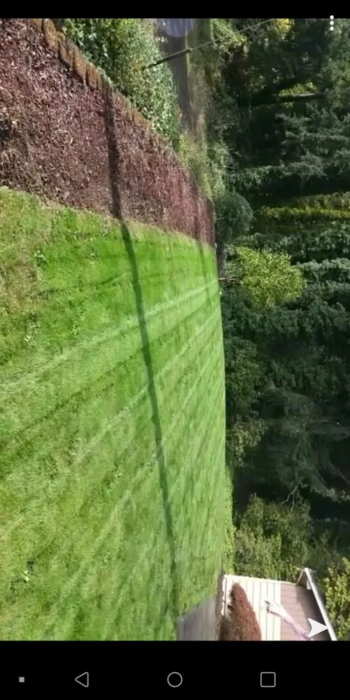 Affordable yard maintenance for homes across Federal Way, WA - C&F Lawn Care