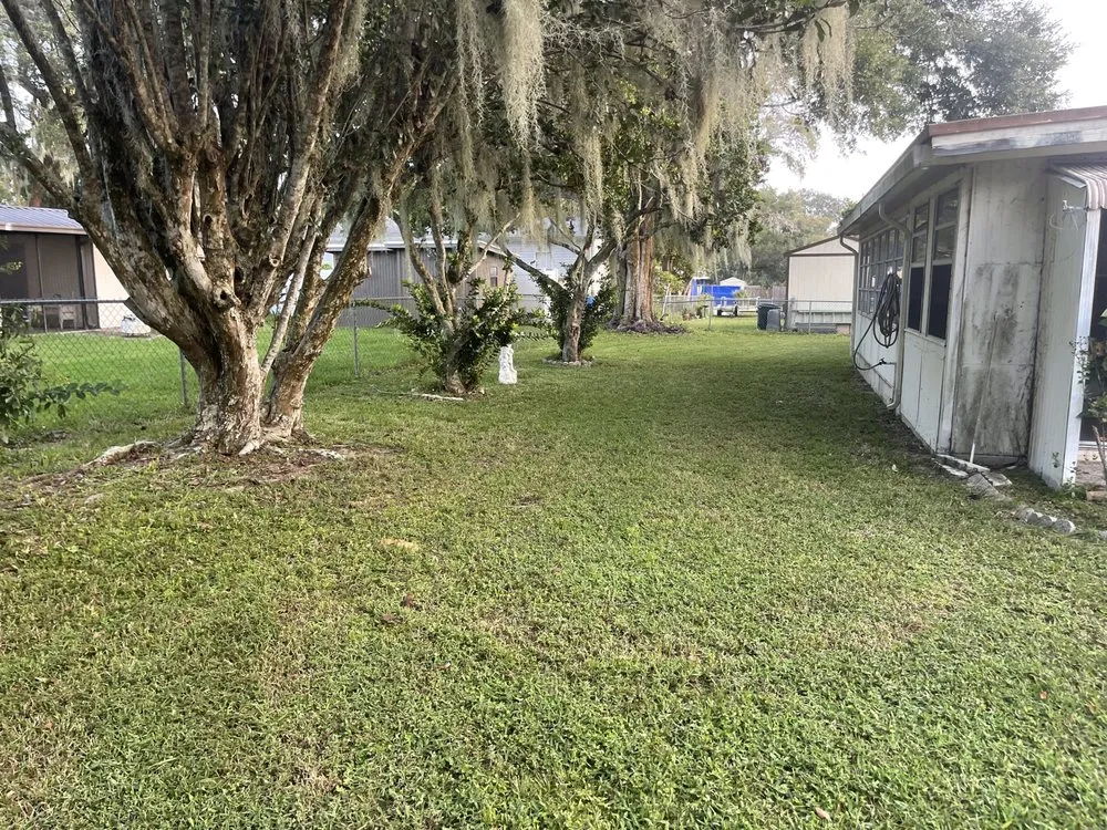 Professional lawn care service in Montverde, FL - CF Lawn Care