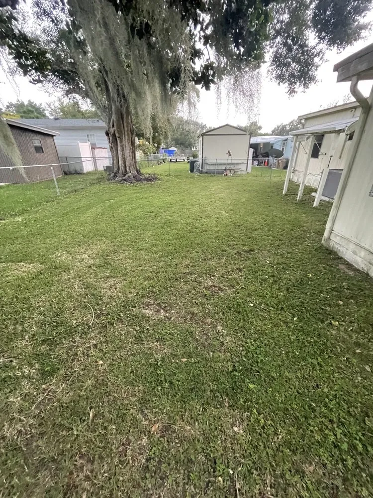 Professional residential landscaping experts serving Montverde, FL - CF Lawn Care