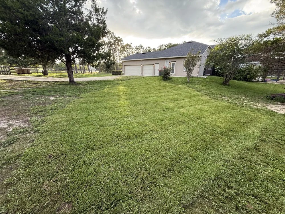 Custom residential landscaping experts serving Montverde, FL - CF Lawn Care