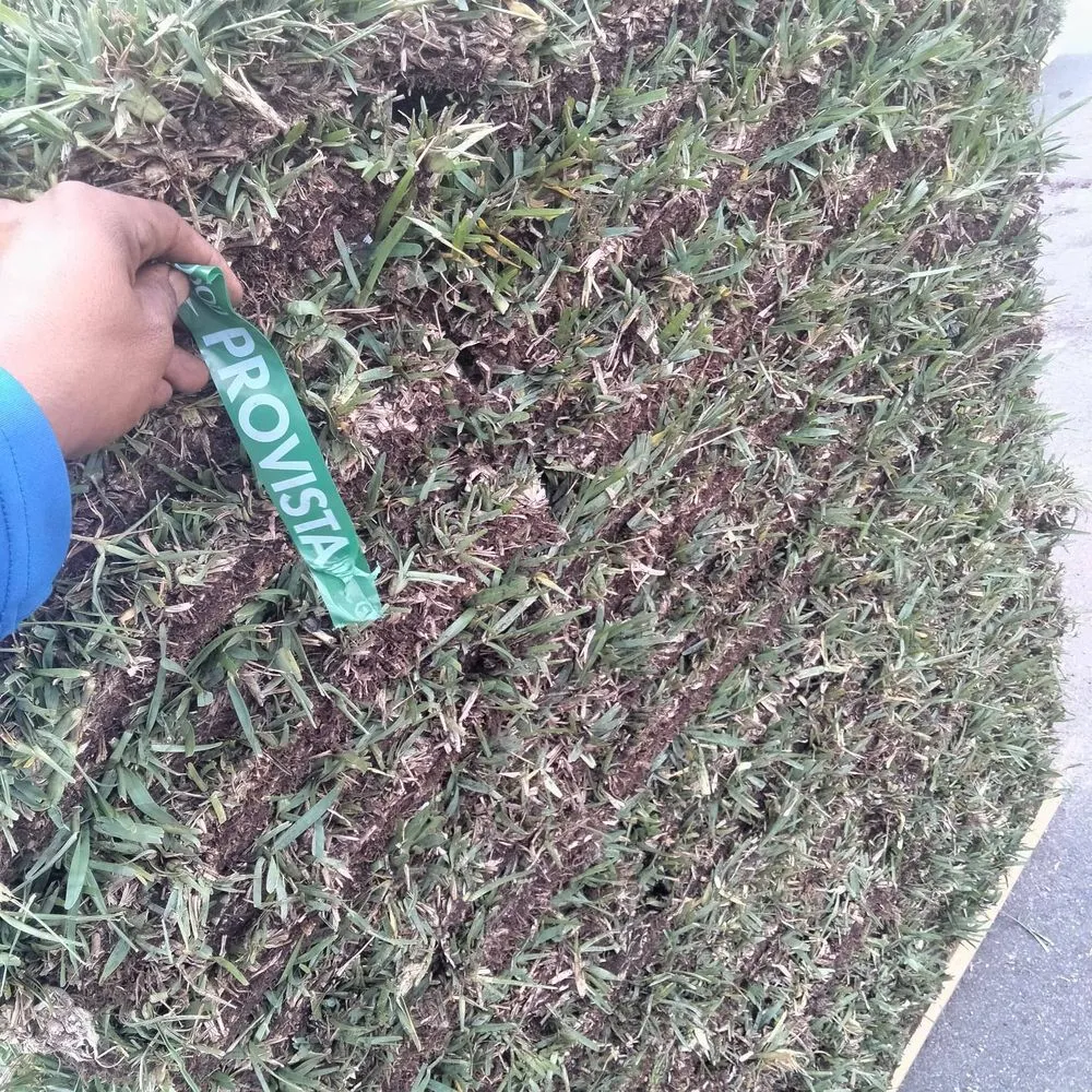 Reliable landscape installation experts serving Lakeland, FL - CF Sod