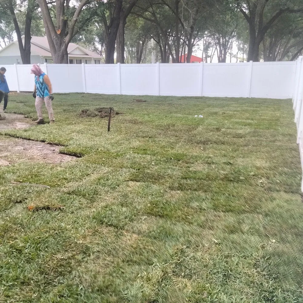 Affordable landscaping services in Lakeland, FL by CF Sod