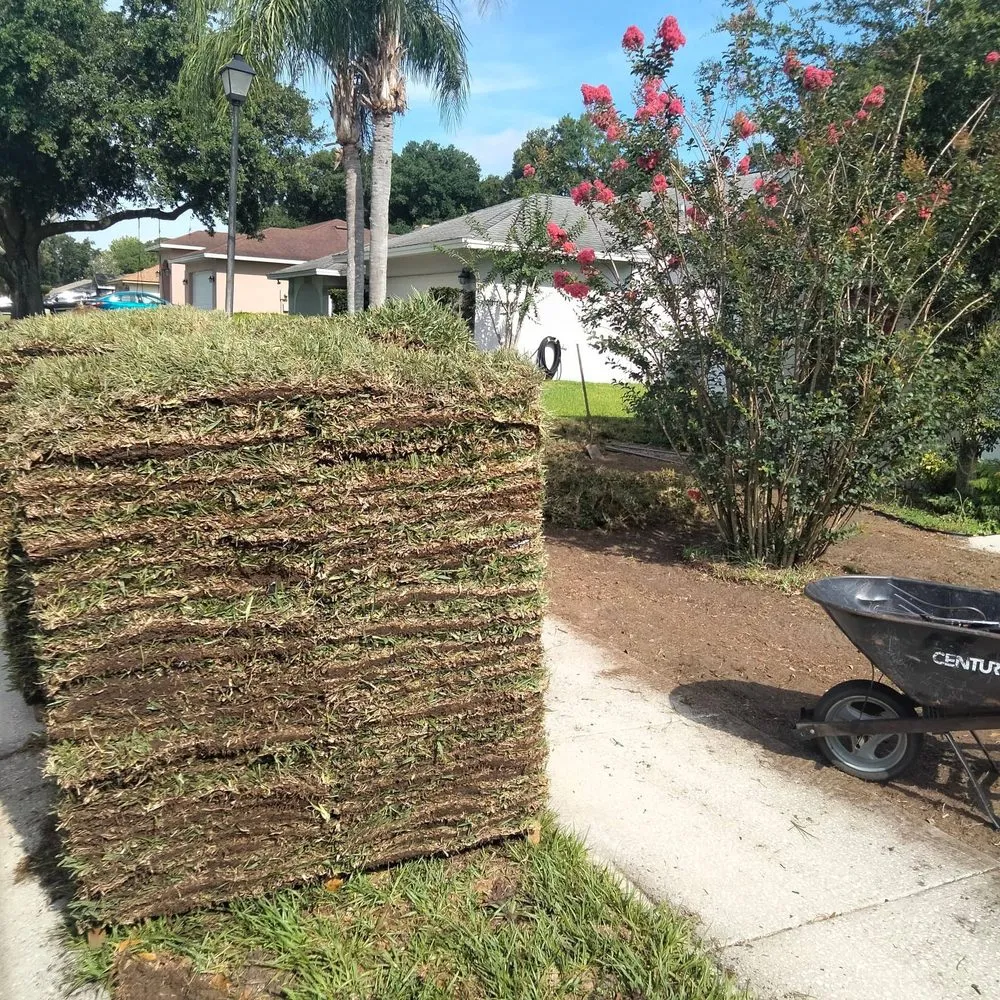 Local yard cleanup service experts serving Lakeland, FL - CF Sod
