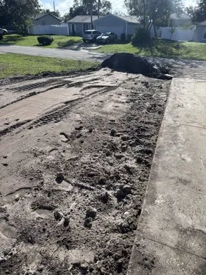 CFL BOBCAT SERVICES Logo